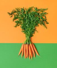 Carrots with green leaves top view. Carrots bundle isolated on a colored background