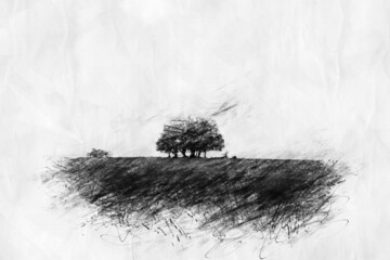 trees in a field in pencil style drawing