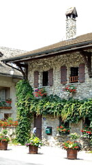 Building covered in ivy in Yvoire, France