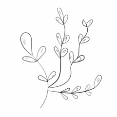 Cute doodle leaves set.Plant vector collection.Black line art on white background.