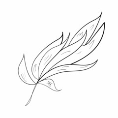 Cute doodle leaves set.Plant vector collection.Black line art on white background.