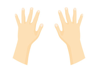 back of human hands - vector illustration