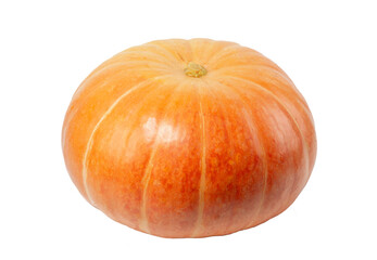 ripe orange pumpkin on a white background isolated