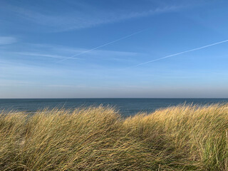 Landscape of the sea, grass and sky in shades of blue - 497748489