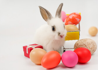 white rabbit with colorful easter eggs isolated on white background,concept easter symbol in april