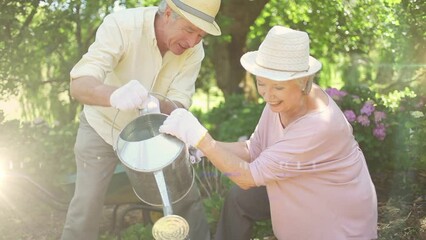 Spot of light against caucasian senior couple watering plants together in the garden
