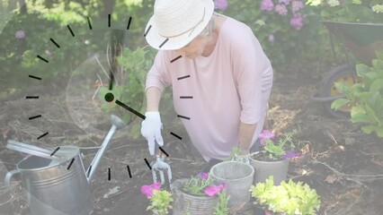 Ticking clock against portrait of caucasian senior woman gardening in the garden
