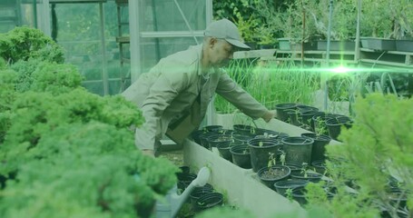 Green spot of light moving against asian senior man watering plants in the garden