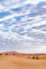 Fototapeta na wymiar cammelli in lontananza tra le due nel deserto 