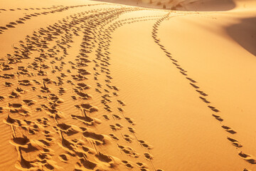 impronte umane lasciate in un aduna di sabbia nel deserto 