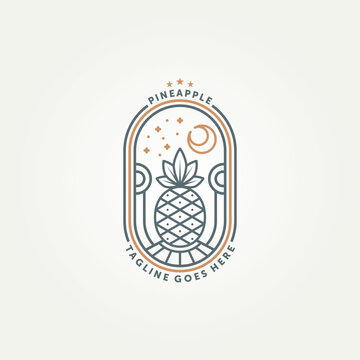 simple modern pineapple fruit line art badge logo template vector illustration design. minimalist pineapple fruit with night sky view geometric style emblem logo concept