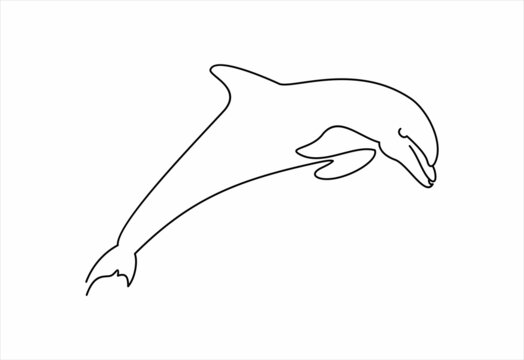 Dolphine logo design, abstract emblem with dolphin in vector Illustration