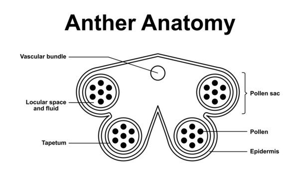 12n 12s wiring diagram - Wiring Diagram