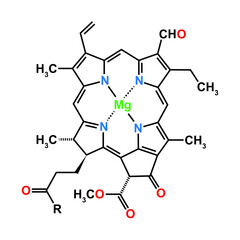 Chlorophyll b Chemical Structure. Vector Illustration.