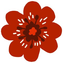 Red flower isolated white background 