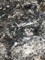 pile of firewood Textured image of burnt ashes, wood chips, black waste