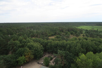 Aussicht auf Wald