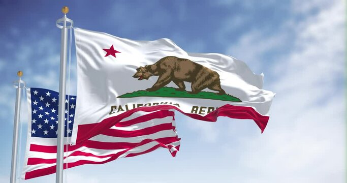 The California state flag waving along with the national flag of the United States of America