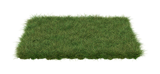 A square patch of grass isolated on white background. 3d image