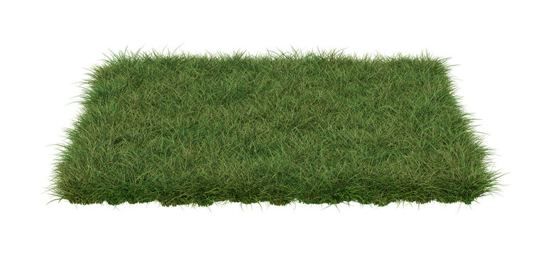 A Square Patch Of Grass Isolated On White Background. 3d Image