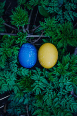blue and yellow easter egg in gress. Symbol of Ukraine