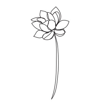 lotus flower on a white background , continuous line drawing, vector design