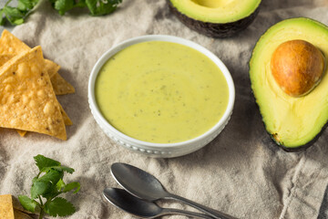 Homemade Mexican Green Avocado Salsa
