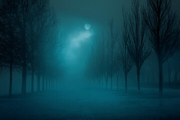 Park in a foggy full moon night