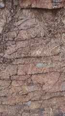 Texture of cracks in soil sediment on the side of a hill left over from dredging in the Cikancung area, Indonesia