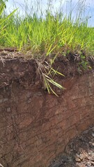 Texture of cracks in soil sediment on the side of a hill left over from dredging in the Cikancung area, Indonesia