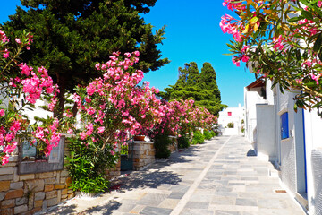 One of the charms of Pyrgos, a famous village of marble craftsmen in Tinos, in the Cyclades, in the heart of the Aegean Sea, are the narrow cobbled streets with white houses and flowers