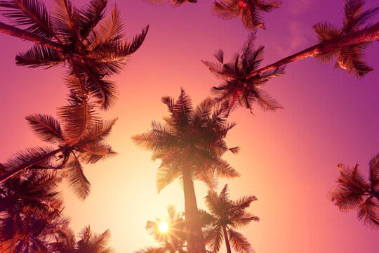 Coconut palm trees on tropical beach at vivid sunset with shining sun