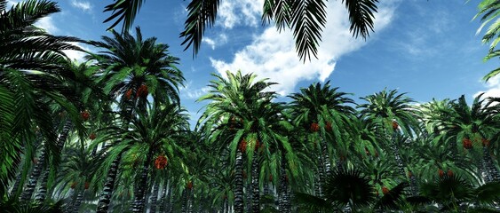Obraz na płótnie Canvas Palm trees against the sky with clouds, tropical trees on the sky, palm trees bottom view, jungle and sky, 3d rendering