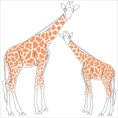 Continuous one line drawing of giraffe, Vector illustration line art.