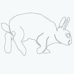 Continuous one line drawing of baby rabbit, Vector illustration line art.