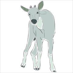 Illustration of Goral. It is another rare wild animal species. - obrazy, fototapety, plakaty