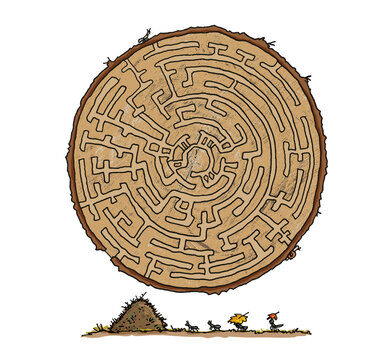 Rätsel Ameisen-Labyrinth