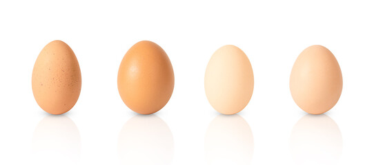set of different chicken eggs isolated on white background