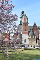 Zamek Królewski na Wawelu, Katedra, dzwonnica,