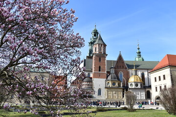 Zamek Królewski na Wawelu, Katedra, dzwonnica, © Albin Marciniak