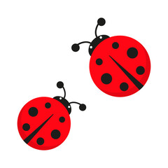Ladybug cute character set. Red tiny ladybirds group. Vector isolated on white.