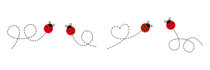 Ladybug icon set. Ladybirds flying on dotted route. Vector isolated on white. © Віталій Баріда
