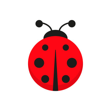 Ladybug cute character. Little red ladybird. Vector isolated on white.