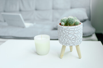 Cactus in trendy planter and candle on white table, home decor