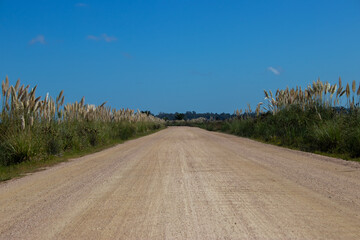 Camino a los humedales 
