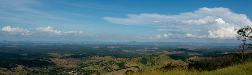 Panorama of Brazilian Forest  Minas Gerais