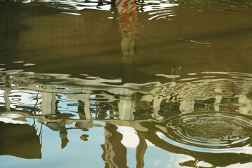 reflections in water