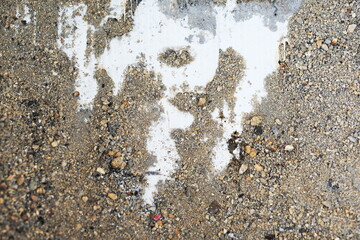 stone on the beach