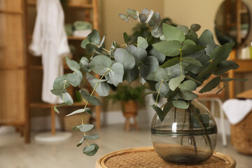 Beautiful eucalyptus branches in glass vase on wicker table indoors. Interior design © New Africa