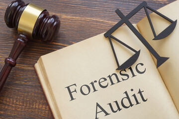 Forensic audit is shown on the photo using the text